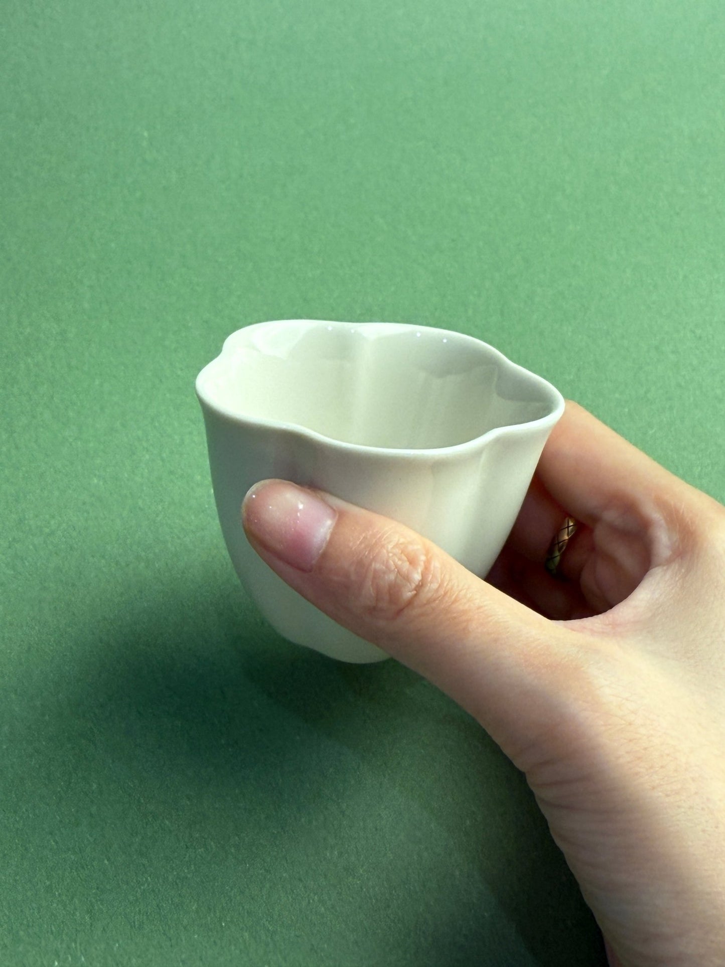 Plant Ash · Floral Tea Cup + Saucer Set - Moonlight Friday